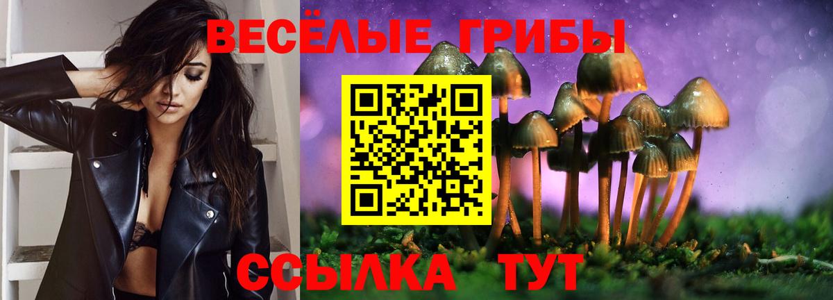 Галлюциногенные грибы Psilocybe  Галлюциногенные грибы Psilocybine cubensis  Алапаевск  Вход с VPN 